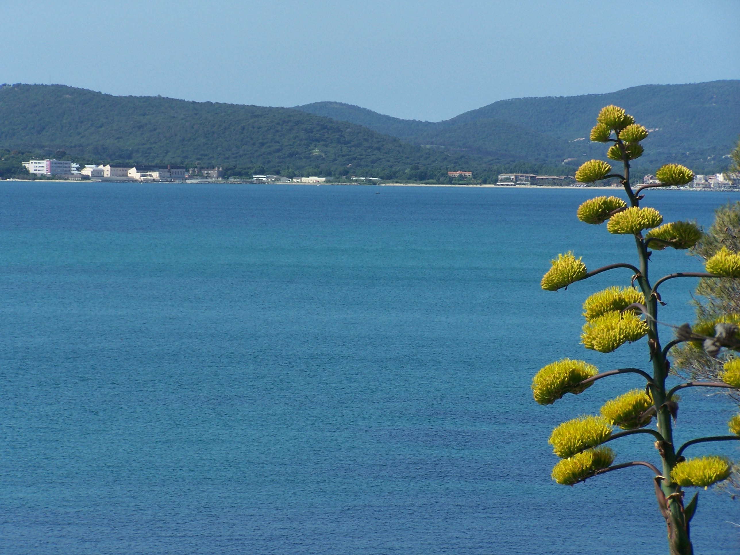 villa sainte maxime